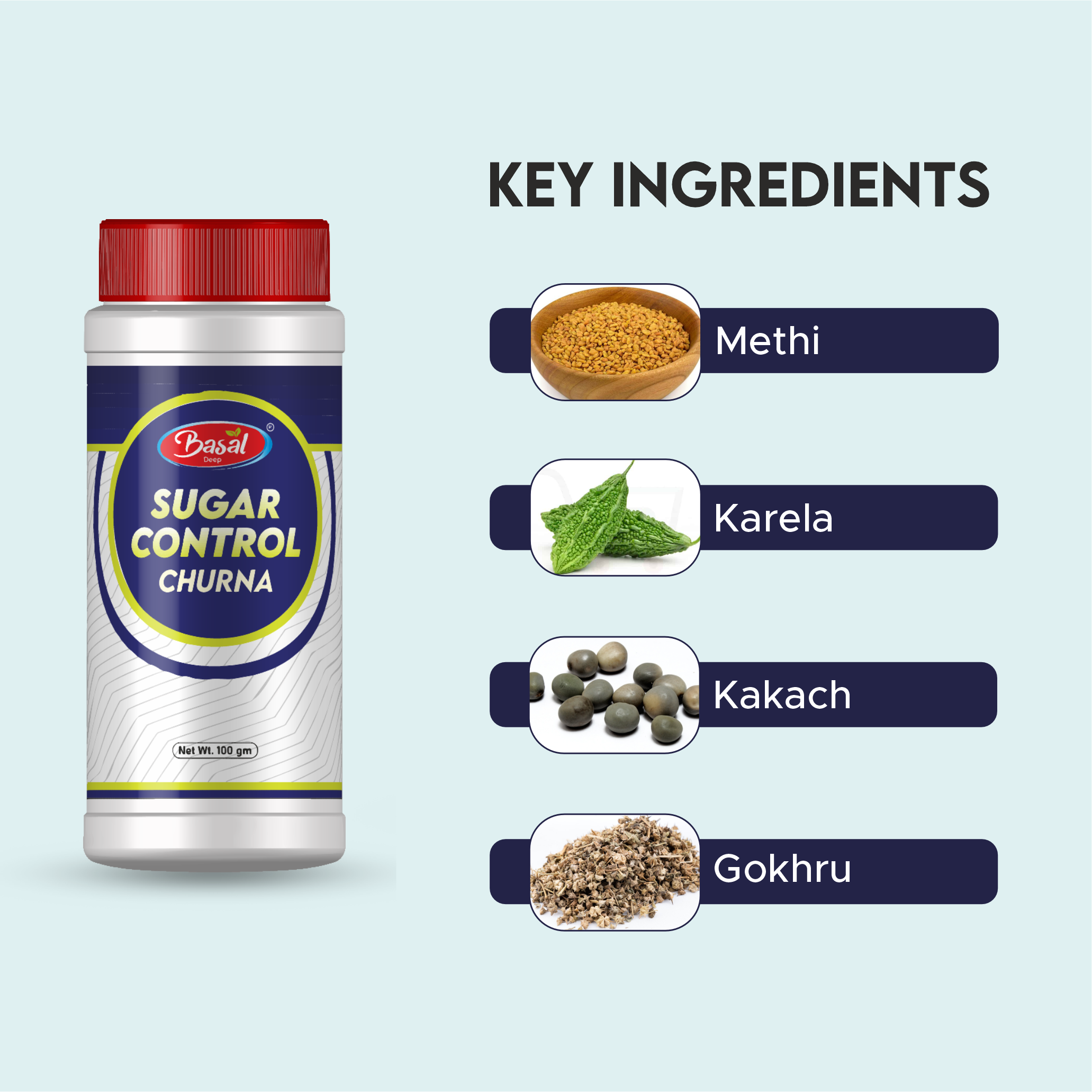 Key-Ingredients-of-Sugar-Control-Churna